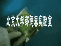 柔性OLED趣味视频演示